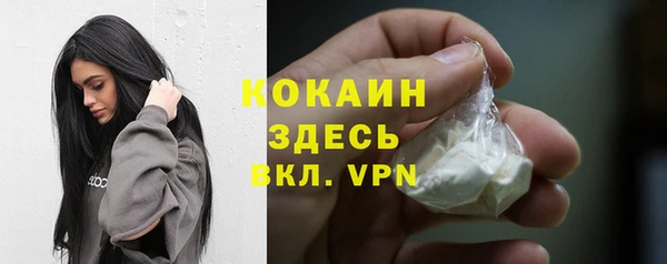 амф Пестово