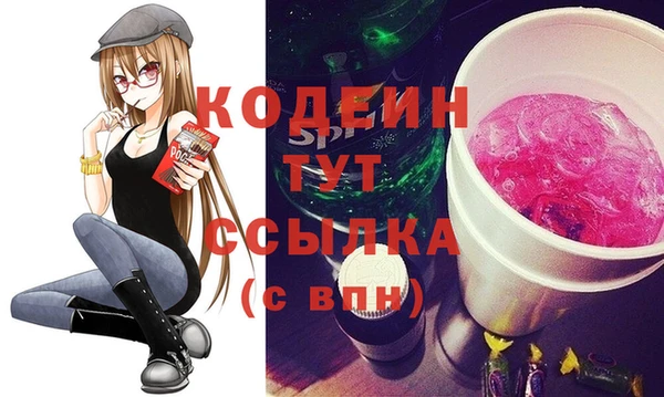 амф Пестово