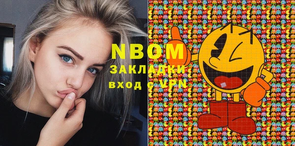 амф Пестово