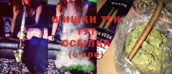 амф Пестово