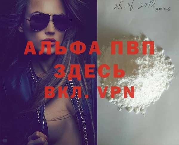 амф Пестово