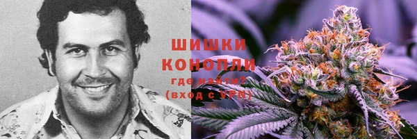 MDMA Пересвет
