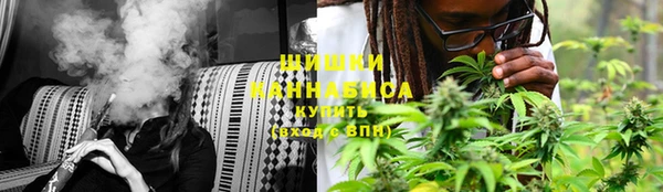 амф Пестово