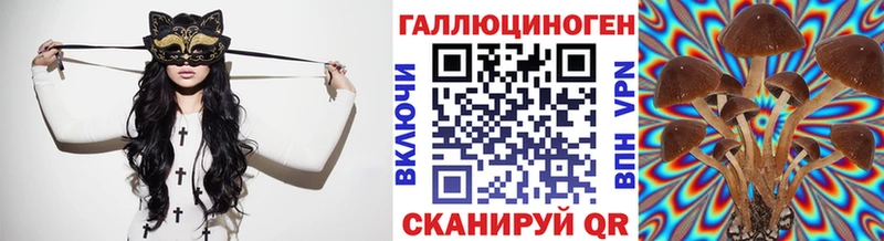 Галлюциногенные грибы Cubensis  Тихорецк 