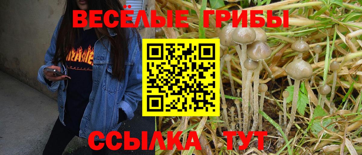 Псилоцибиновые грибы мухоморы Тихорецк