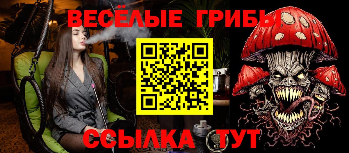 Псилоцибиновые грибы мухоморы  Вход с VPN  Тихорецк  Галлюциногенные грибы ЛСД 